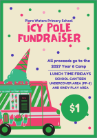 Icy Poles for Sale (Lunch time)